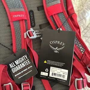 Osprey Daylite  Cosmic Red Commuter Backpack